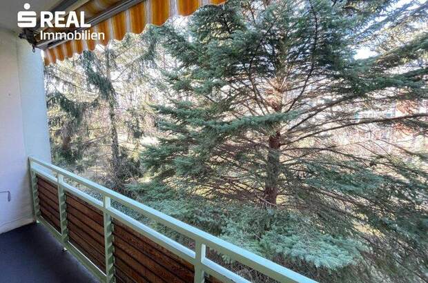 Wohnung mieten in 2344 Maria Enzersdorf (Bild 2)