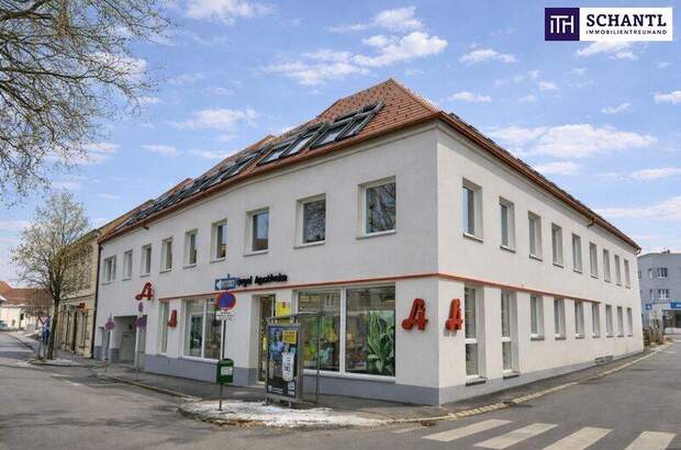 Wohnung kaufen in 2514 Traiskirchen (Bild 1)