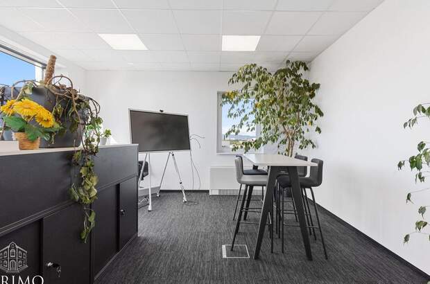 Gewerbeobjekt mieten in 4060 Leonding (Bild 3)