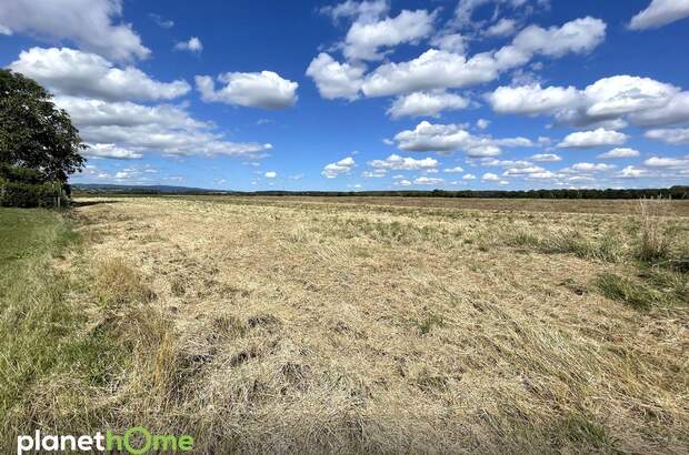 Grundstück kaufen in 7474 Deutsch Schützen (Bild 3)
