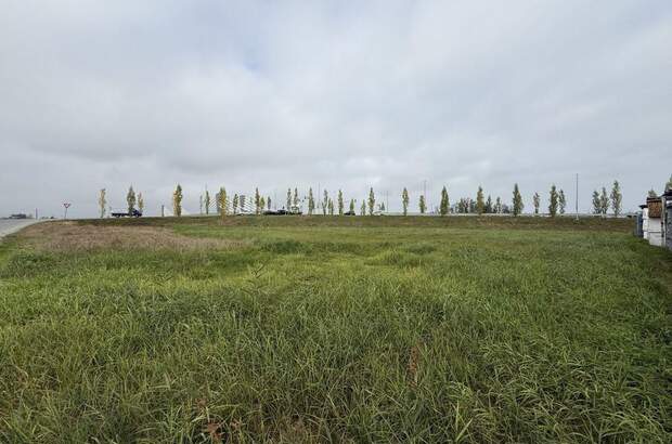 Gewerbeobjekt kaufen in 6971 Hard (Bild 3)