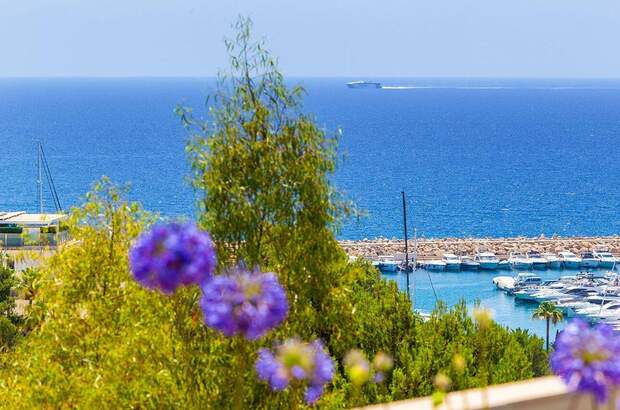 Eigentumswohnung in 7181 Costa d'en Blanes (Bild 4)