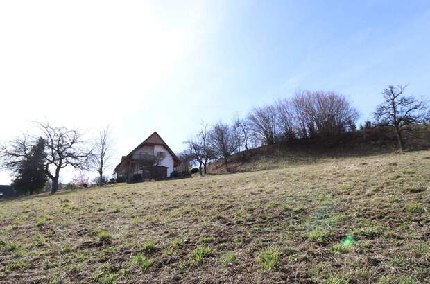 Grundstück kaufen in 8591 Maria Lankowitz (Bild 3)