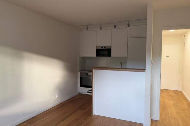 Wohnung mieten in 1130 Wien (Bild 2)