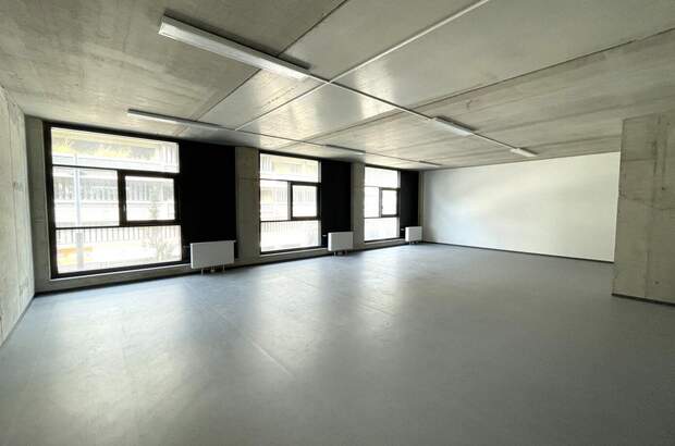 Gewerbeobjekt mieten in 1220 Wien (Bild 2)