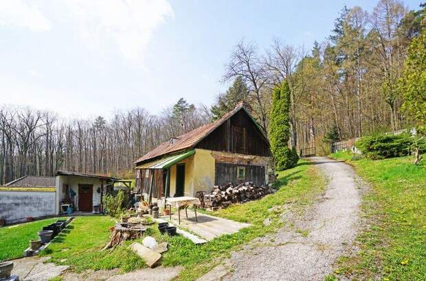 Grundstück kaufen in 3011 Purkersdorf (Bild 3)