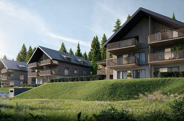 Halle / Lager / Produktion kaufen in 9571 Hochrindl (Bild 1)