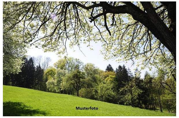 Grundstück kaufen in 8242 St. Lorenzen (Bild 1)