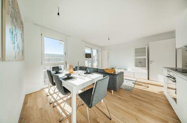 Terrassenwohnung kaufen in 1210 Wien (Bild 4)