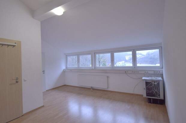 Gewerbeobjekt mieten in 4040 Linz (Bild 1)