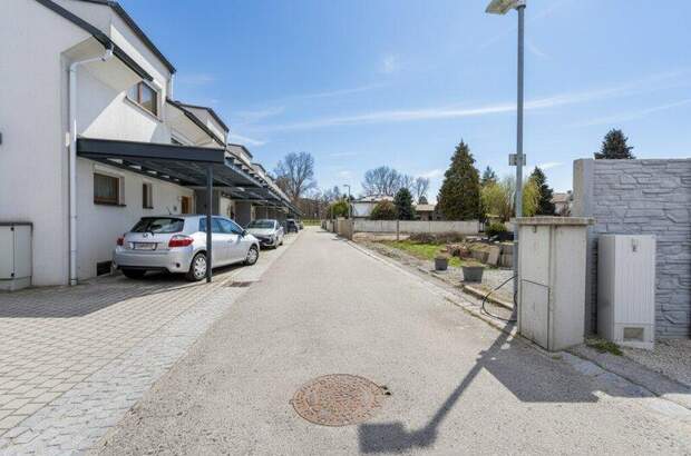 Grundstück kaufen in 2491 Neufeld (Bild 5)