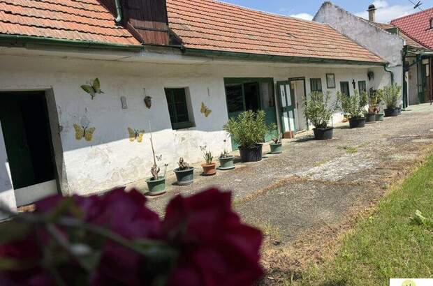 Haus kaufen in 2421 Kittsee (Bild 3)