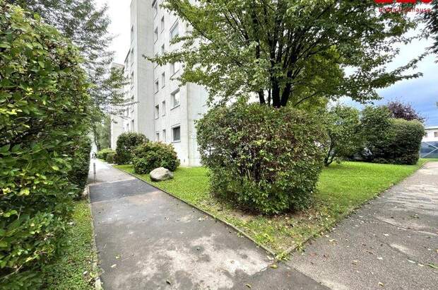 Wohnung mieten in 4020 Linz (Bild 1)