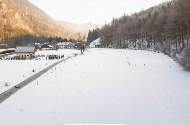 Grundstück kaufen in 4645 Grünau (Bild 5)