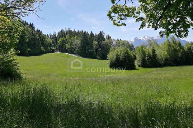 Gewerbeobjekt kaufen in 5020 Salzburg (Bild 3)