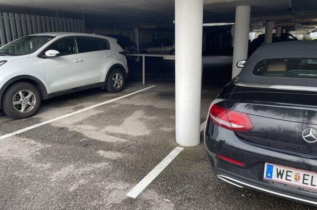 Halle / Lager / Produktion kaufen in 4600 Wels (Bild 2)