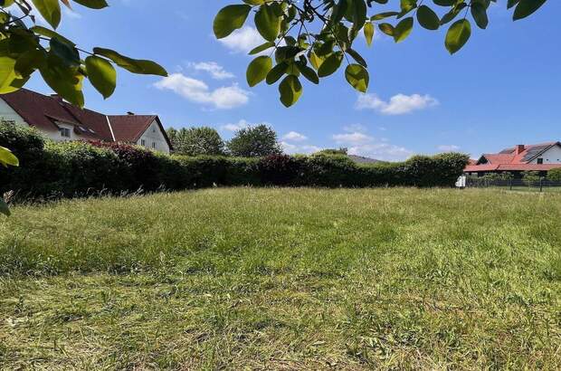 Grundstück kaufen in 8431 Gralla (Bild 1)