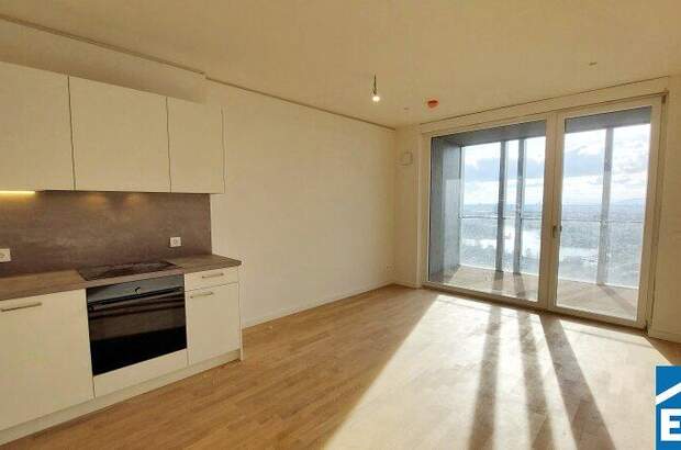 Terrassenwohnung mieten in 1220 Wien (Bild 1)