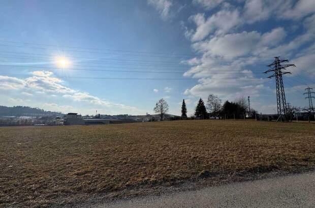 Gewerbeobjekt kaufen in 4150 Rohrbach (Bild 2)