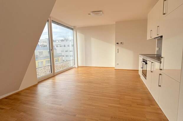 Terrassenwohnung mieten in 1160 Wien (Bild 1)