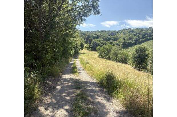 Grundstück kaufen in 3400 Klosterneuburg (Bild 2)