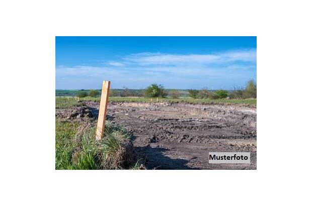 Grundstück kaufen in 3413 Hintersdorf (Bild 1)