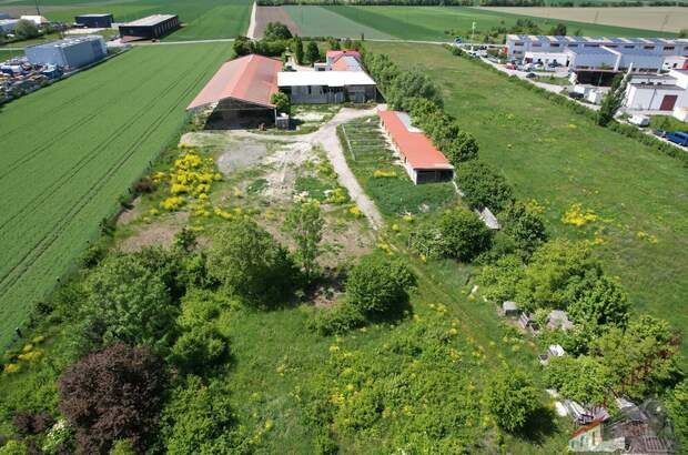 Grundstück kaufen in 2521 Trumau (Bild 1)