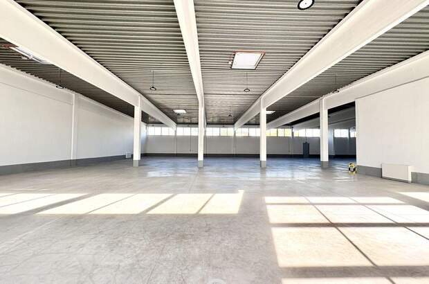 Gewerbeobjekt mieten in 2345 Brunn (Bild 4)