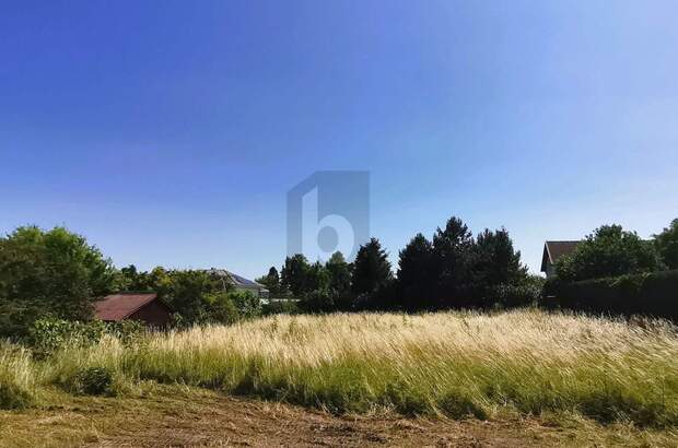 Grundstück kaufen in 7082 Donnerskirchen (Bild 4)