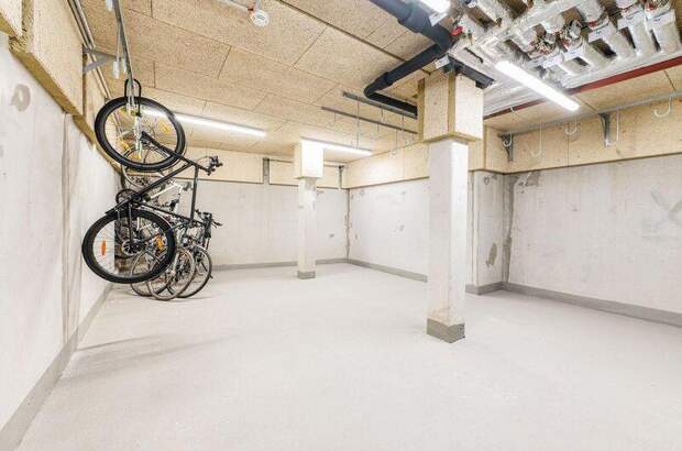 Terrassenwohnung mieten in 1060 Wien (Bild 5)