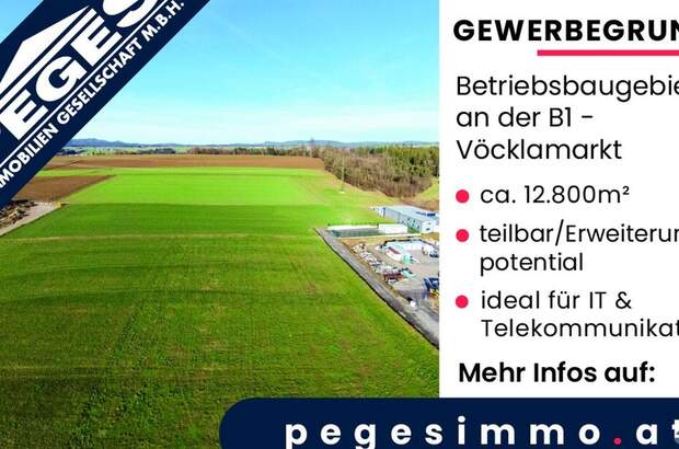 Gewerbeobjekt mieten in 4870 Vöcklamarkt (Bild 2)
