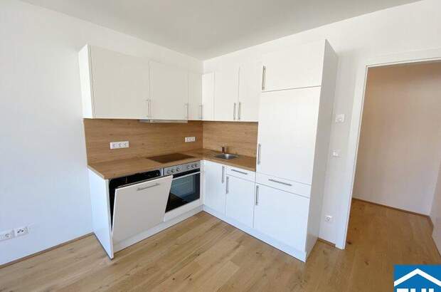 Terrassenwohnung mieten in 1100 Wien (Bild 3)