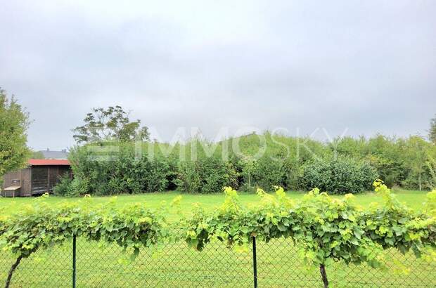 Grundstück kaufen in 4614 Marchtrenk (Bild 3)