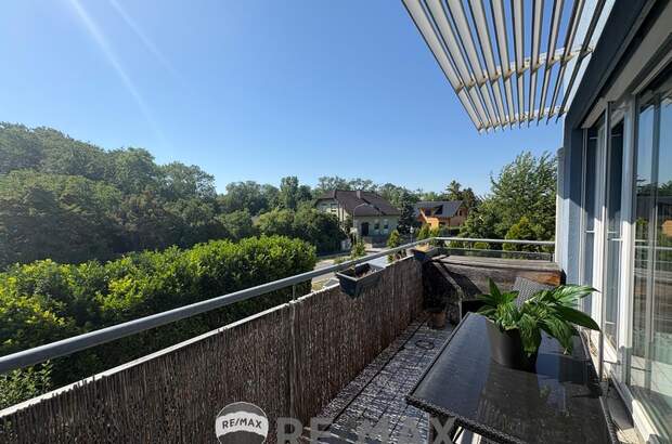 Terrassenwohnung kaufen in 2482 Münchendorf (Bild 1)