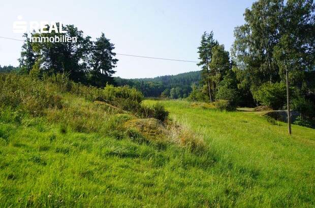 Grundstück kaufen in 3962 Heinrichs (Bild 3)