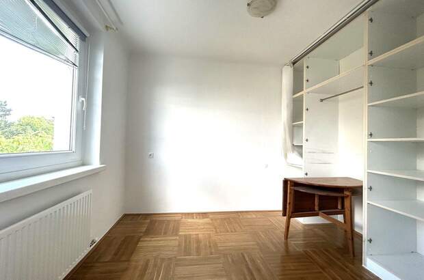 Altbauwohnung mieten in 1130 Wien (Bild 2)