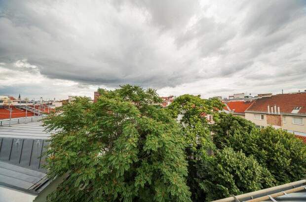 Terrassenwohnung kaufen in 1040 Wien (Bild 2)