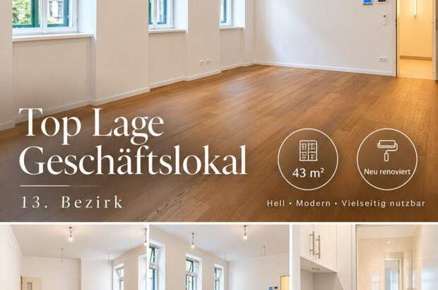 Gewerbeobjekt mieten in 1130 Wien (Bild 1)