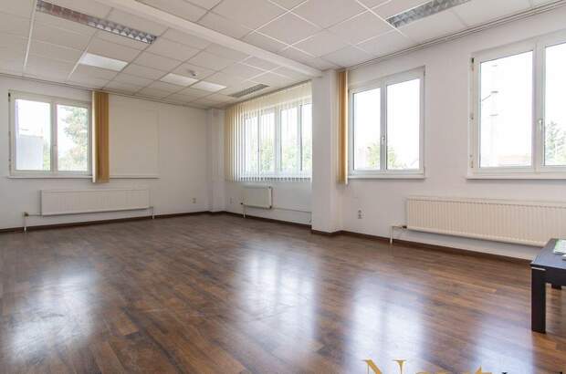 Gewerbeobjekt mieten in 4050 Traun (Bild 3)