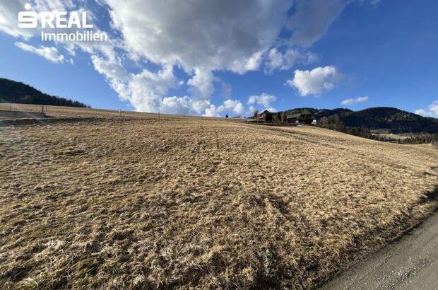 Grundstück kaufen in 8813 St. Lambrecht (Bild 1)