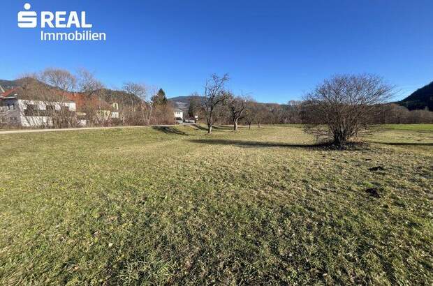 Grundstück kaufen in 9361 St. Salvator (Bild 1)
