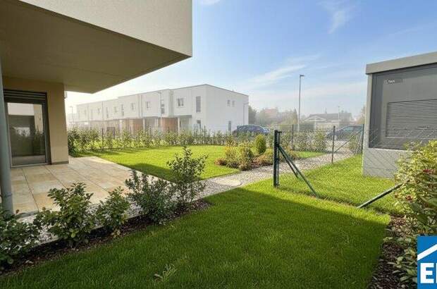 Terrassenwohnung kaufen in 2700 Wr. Neustadt (Bild 3)