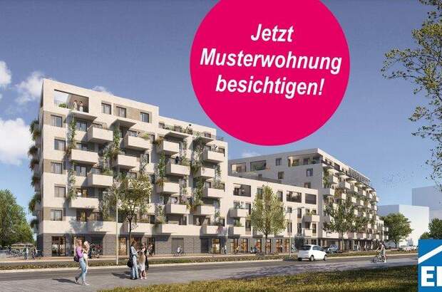 Terrassenwohnung mieten in 1220 Wien (Bild 1)