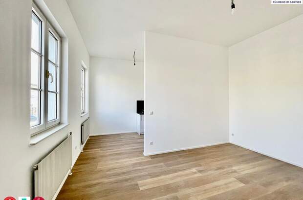 Wohnung mieten in 3430 Tulln (Bild 1)