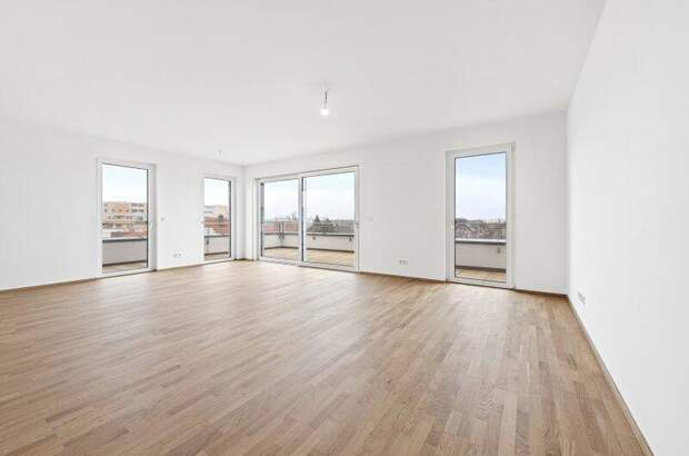 Terrassenwohnung kaufen in 2700 Wr. Neustadt (Bild 3)