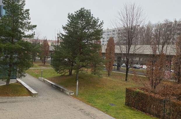 Wohnung mit Balkon mieten in 1020 Wien (Bild 5)