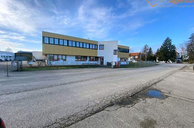 Gewerbeobjekt mieten in 4614 Marchtrenk (Bild 3)
