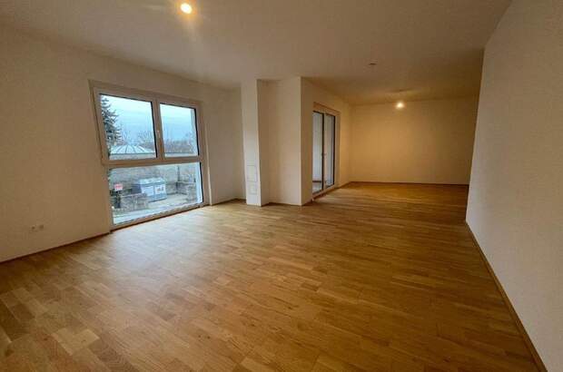 Wohnung mieten in 2410 Hainburg (Bild 5)