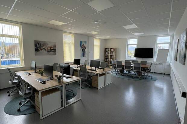 Gewerbeobjekt mieten in 8054 Graz (Bild 2)