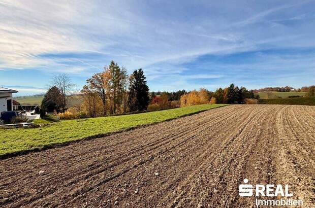 Grundstück kaufen in 4040 Lichtenberg (Bild 4)